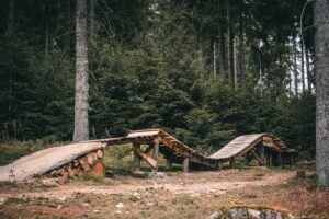 Flowtrail Feldberg