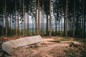 Flowtrail Feldberg